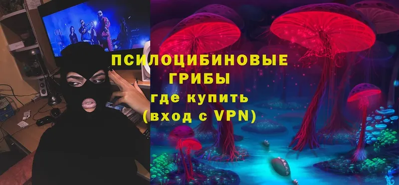 Псилоцибиновые грибы MAGIC MUSHROOMS  Людиново 